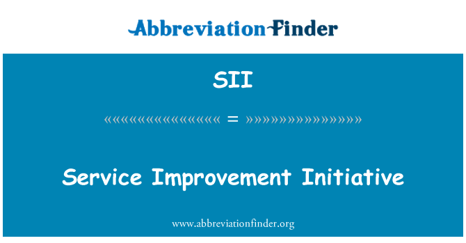 SII: Service-Verbesserung-Initiative