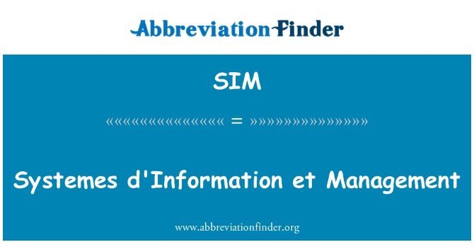 SIM: Systemes d'Information et Management