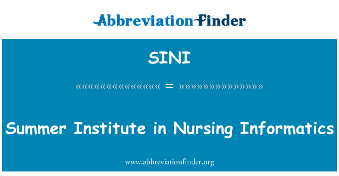 SINI: L-Istitut tas-sajf fin-Nursing Informatics