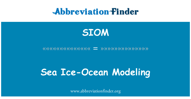 SIOM: 바다 얼음 바다 모델링