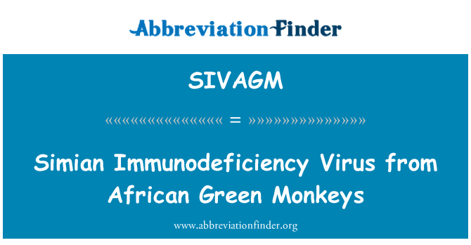 SIVAGM: Pērtiķa imūndeficīta vīrusu no Āfrikas zaļo pērtiķiem
