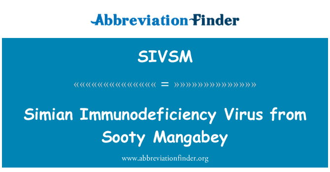 SIVSM: Virusul imunodeficienţei Simian din Mangabey acoperit de funingine