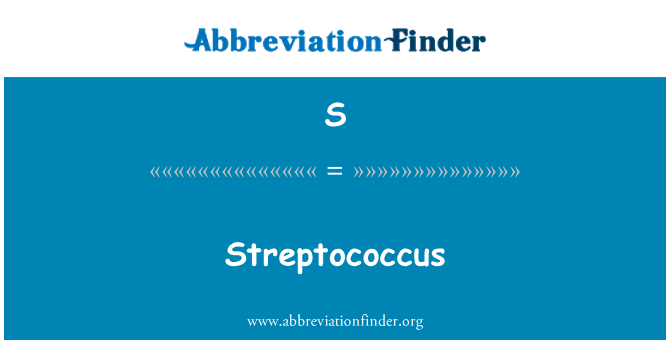 S: Streptococcus