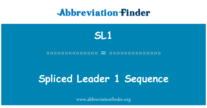 SL1: Sekwenza ta ' mexxej spliced 1