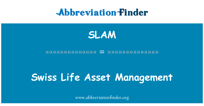 SLAM: Swiss Life Asset Management