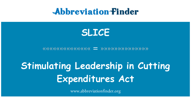 SLICE: Stimulující vedení při snižování výdajů zákona