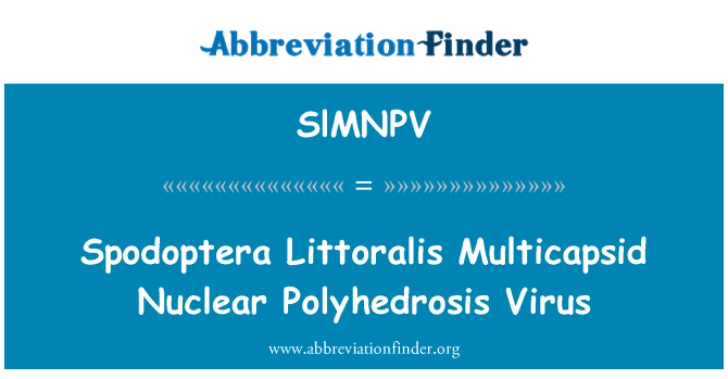 SlMNPV: Spodoptera Littoralis Multicapsid Nuclear Polyhedrosis Virus