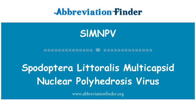SlMNPV: Spodoptera Littoralis Multicapsid Polyhedrosis nikleyè viris