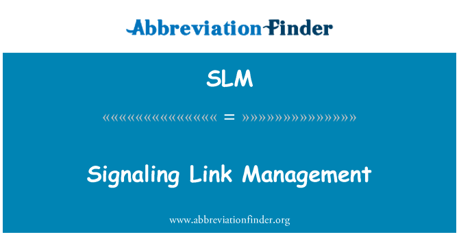 SLM: Signalering Link Management