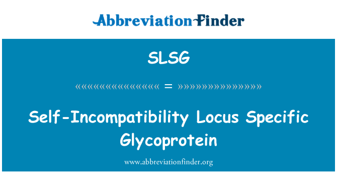 SLSG: Glycoprotein khusus Locus self-Incompatibility