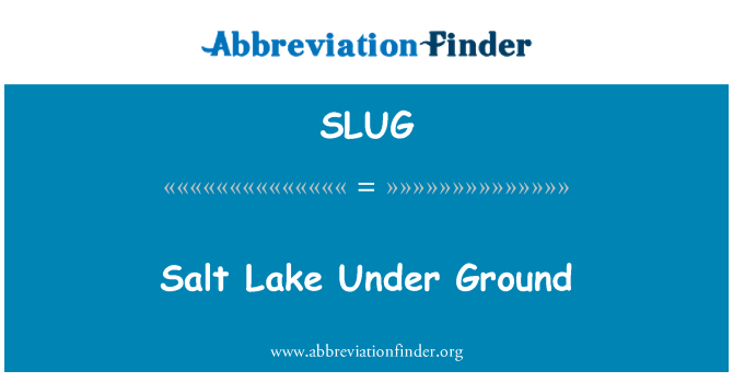 SLUG: Saltsjø Under bakken