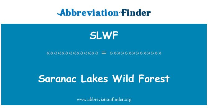 SLWF: Saranac Lakes sovaj Forest