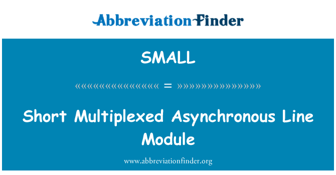 SMALL: Kurze Multiplex asynchrone Leitung Modul