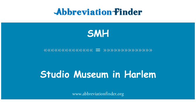 SMH: Studio muzej v Harlem