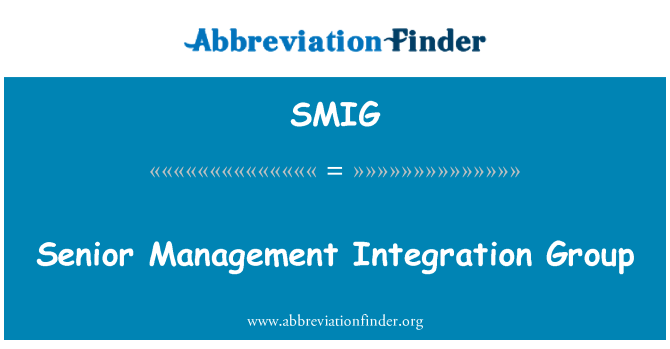 SMIG: Senior Management integrace skupina