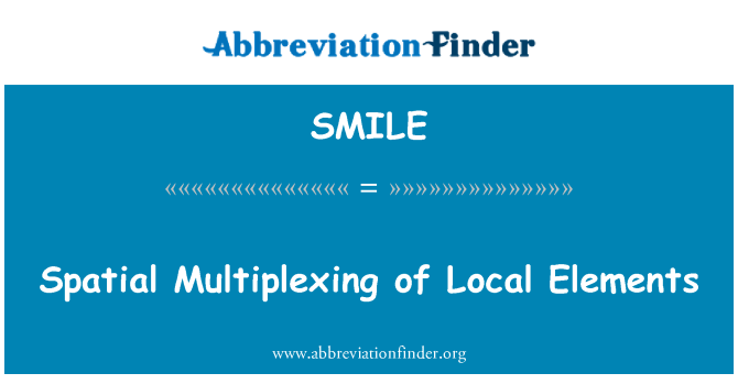SMILE: Prostorne multipleksiranje lokalnih elemenata