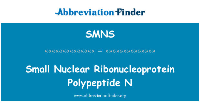 SMNS: Ribonucleoprotein nikleyè ti Polypeptide N