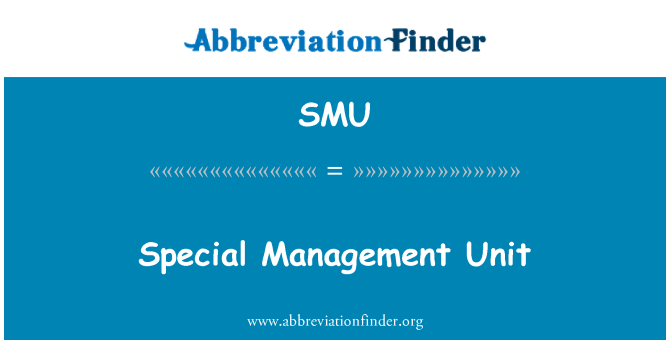 SMU: 特殊管理單元