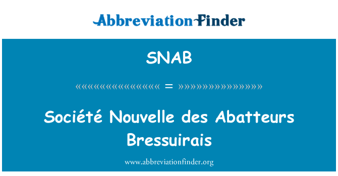 SNAB: 法国兴业中篇小说 des Abatteurs Bressuirais