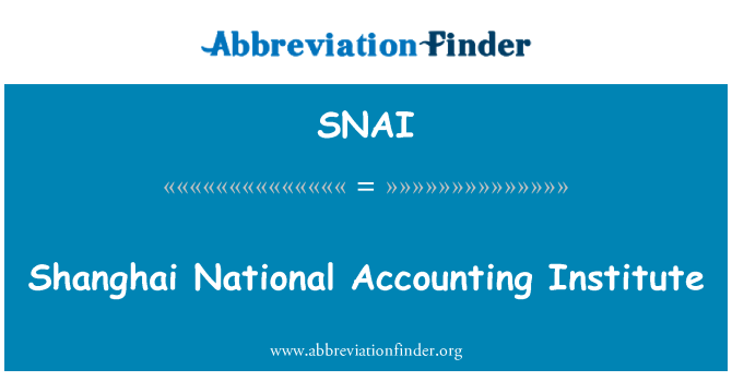 SNAI: Shanghai National Accounting Institute