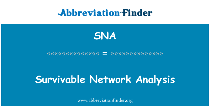 SNA: Survivable Network Analysis