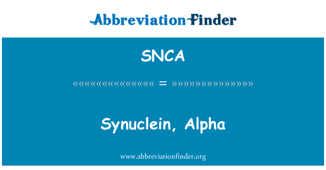 SNCA: Synuclein, алфа