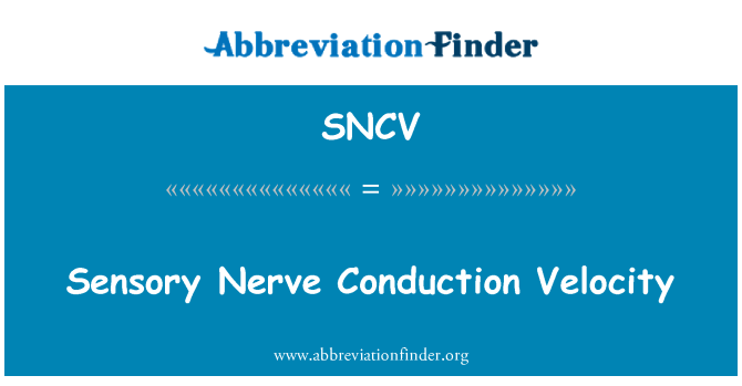 SNCV: ความเร็วการนำกระแสประสาทรับความรู้สึก