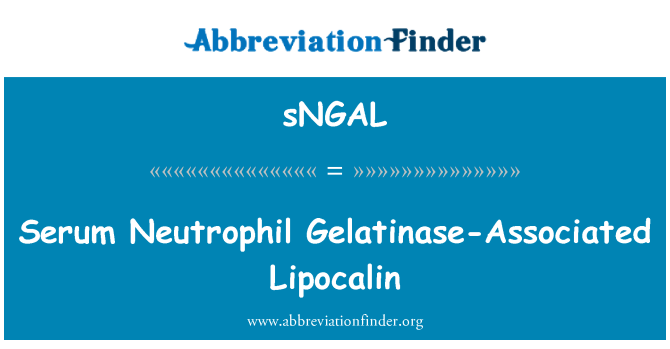 sNGAL: 血中好中球ゲラチナーゼ結合リポカリン