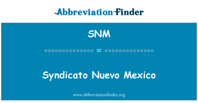 SNM: Syndicato Nuevo Mexico