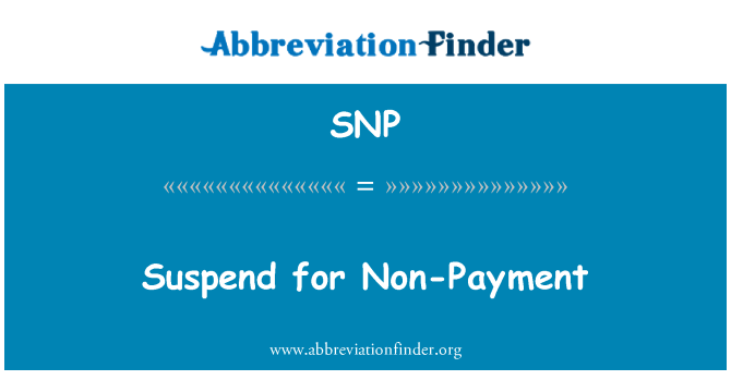 SNP: Sispann pou ki pa lajan