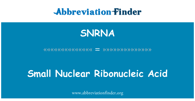 SNRNA: Aċidu Ribonucleic nukleari żgħar