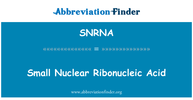 SNRNA: Small Nuclear Ribonucleic Acid