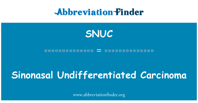 SNUC: Sinonasal blíže neurčené karcinom