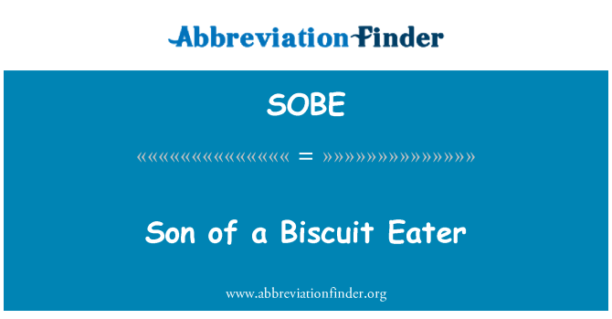 SOBE: בנו של אכלן ביסקוויט