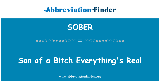 SOBER: Herif her şey gerçek.