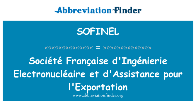 SOFINEL: Société Française d'Ingénierie Electronucléaire et d'Assistance pour l'Exportation