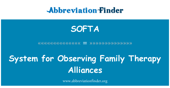 SOFTA: 家族療法提携観測システム