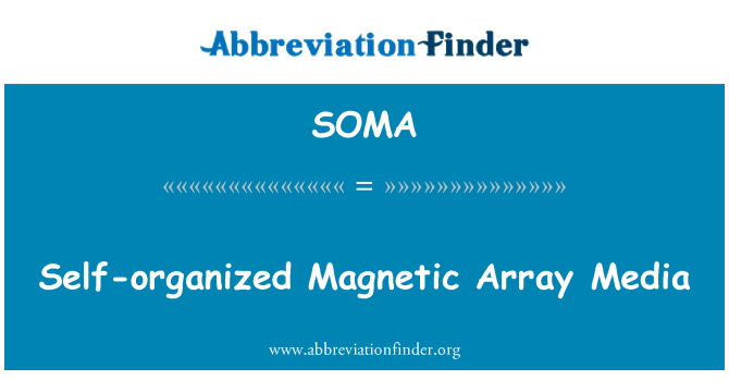 SOMA Definition: Self-organized Magnetic Array Media