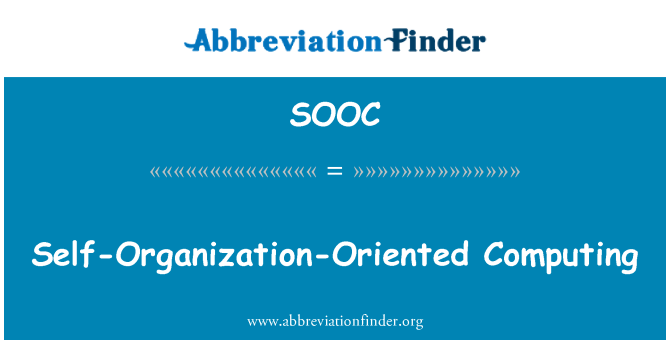 SOOC: Organization-Oriented computing