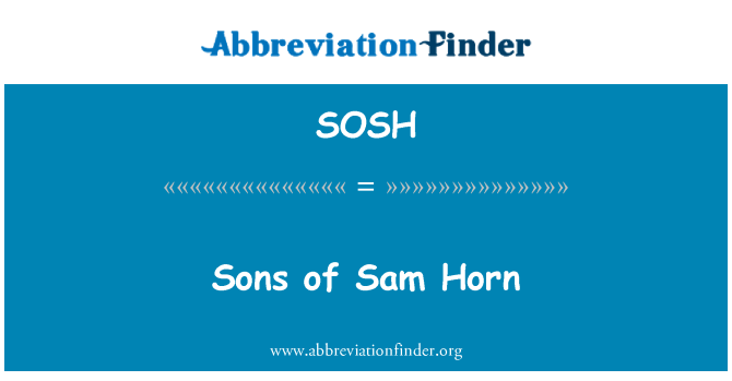 SOSH: Pitit gason Sam klewon