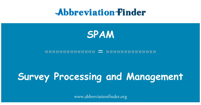 SPAM: Gestione ed elaborazione di indagine