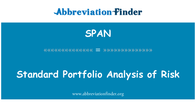 SPAN: Portofoliu standard de analiza de risc