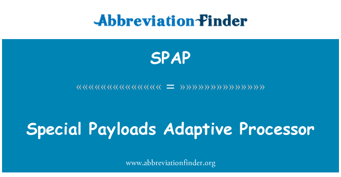 SPAP: 特殊なペイロード Adaptive のプロセッサ