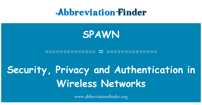 SPAWN: Security, Privacy and Authentication in Wireless Networks