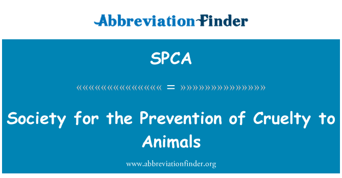 SPCA: Society for pencegahan kekejaman terhadap hewan
