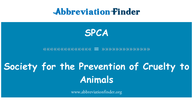 SPCA: Is-soċjetà għall-prevenzjoni ta ' moħqrija fuq annimali