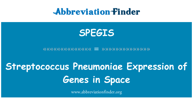 SPEGIS: Streptococcus Pneumoniae अंतरिक्ष में जीनों की अभिव्यक्ति