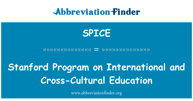 SPICE: 关于国际和跨文化教育的斯坦福大学课程