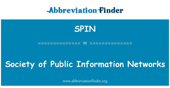 SPIN: Società delle reti di informazione pubblica