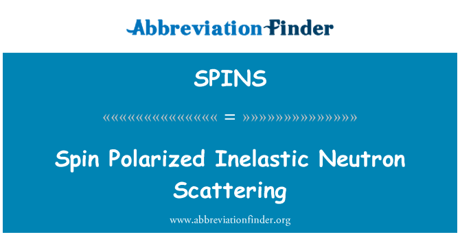 SPINS: File Polarisée Diffusion Inelastic Neutron